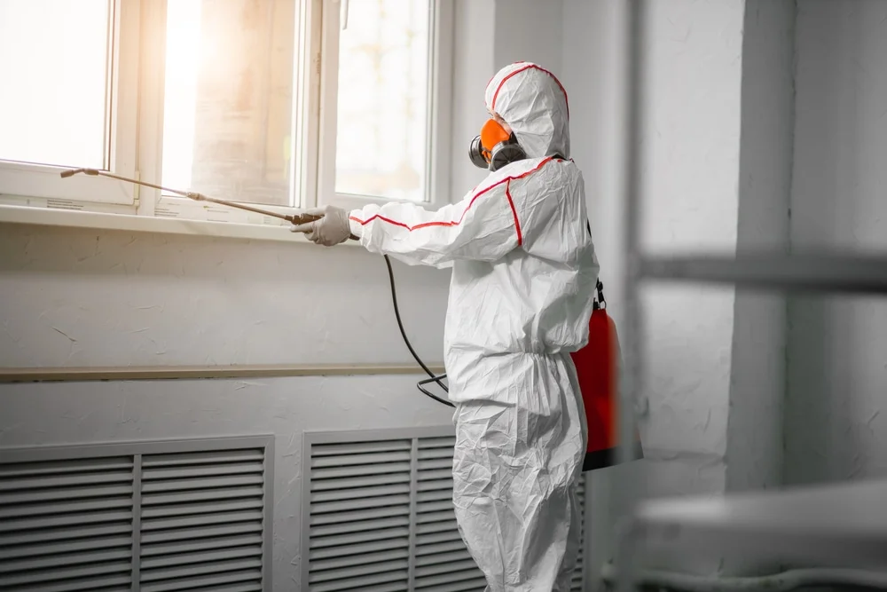 Professional mold remediation services in Philo, OH